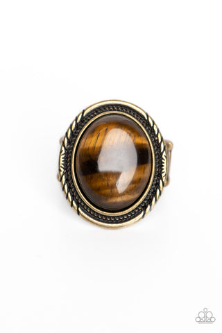 Stone Terrarium - Brass - Brown Oversized Oval Tiger's Eye Stone Paparazzi Ring