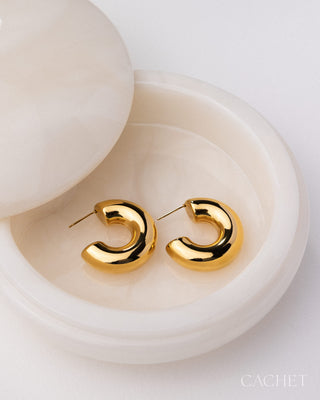 Verity - 18K Gold-Plated Hoop Earrings - CACHET by Paparazzi