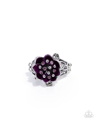 Annual Bloom - Purple