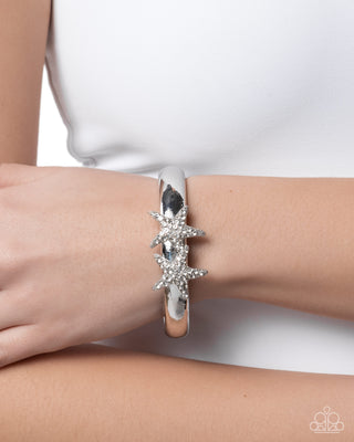 Starfish Symmetry - White