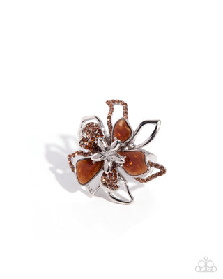 Shell Staccato - Brown