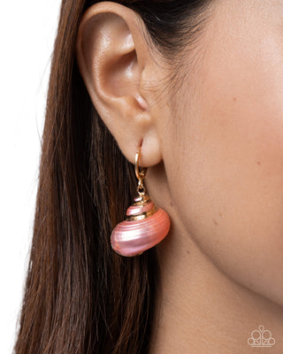 Seashell Spotlight - Orange