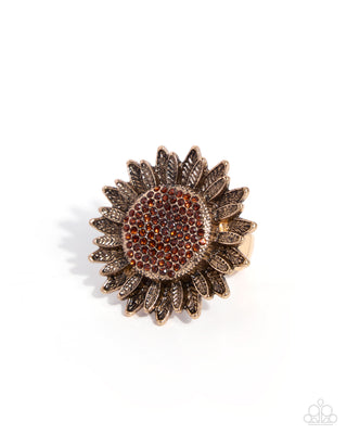 Sweet Sunflower - Brown