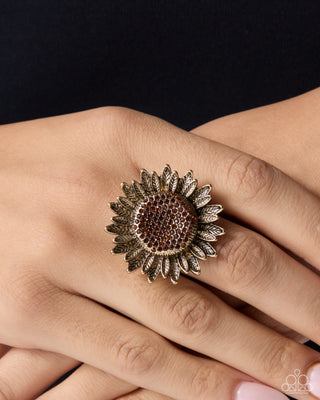 Sweet Sunflower - Brown