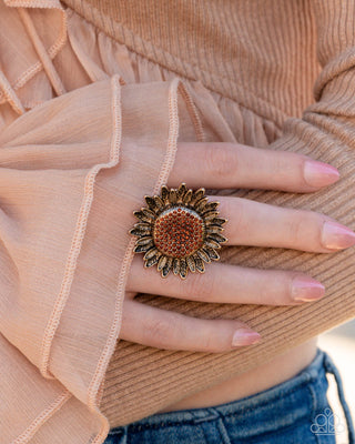 Sweet Sunflower - Brown