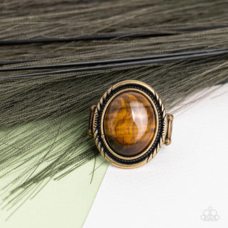 Stone Terrarium - Brass - Brown Oversized Oval Tiger's Eye Stone Paparazzi Ring
